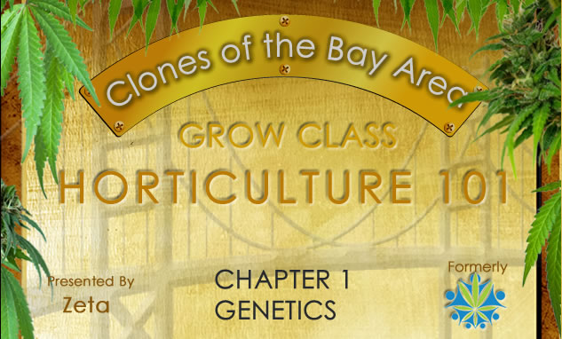 Chapter 1 – Genetics