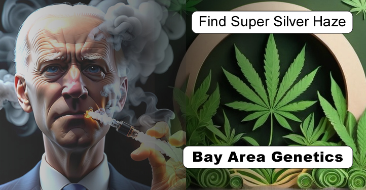 Growbot smoking through the dispensaries.