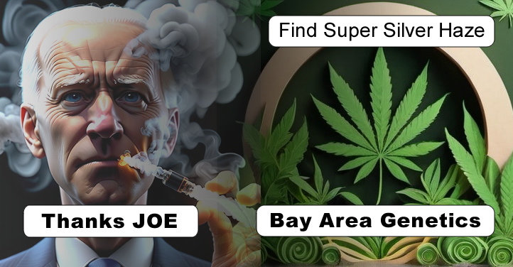 Growbot smoking through the dispensaries.