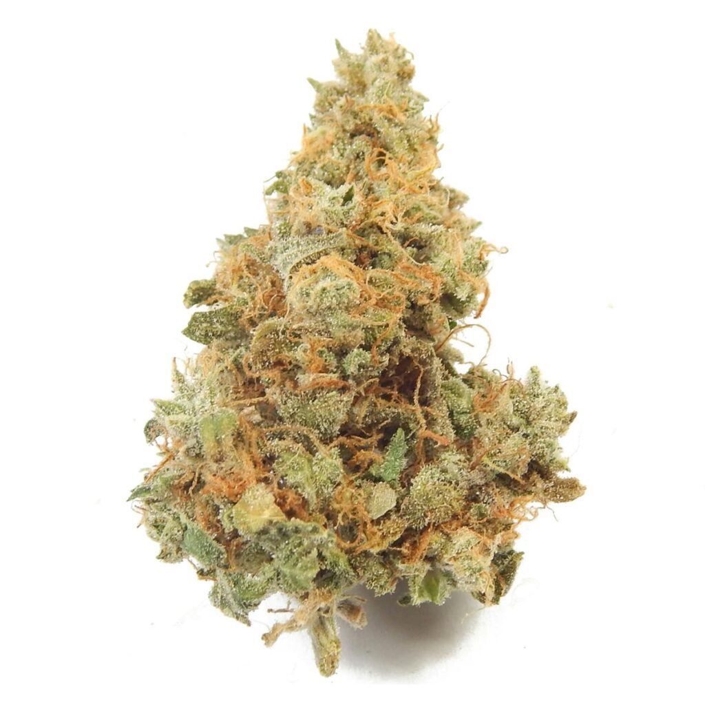 Wonderwoman-Og - indica