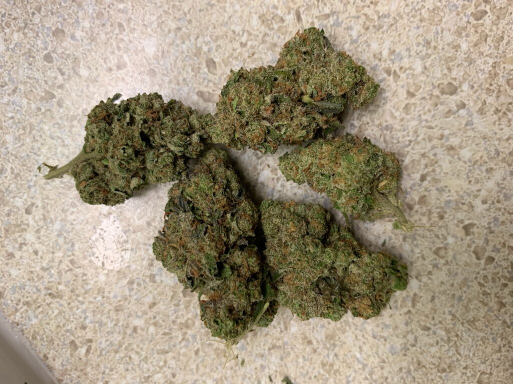 818-Og - indica
