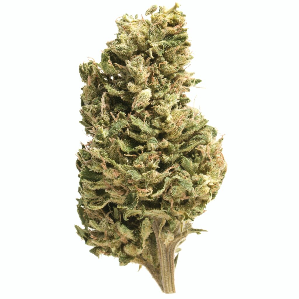 Afghan-Skunk - indica