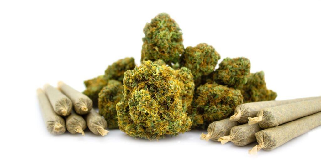 Yodas-Brain - indica