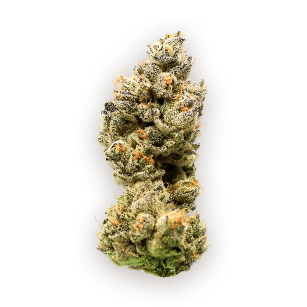 Whitewalker-Og - indica