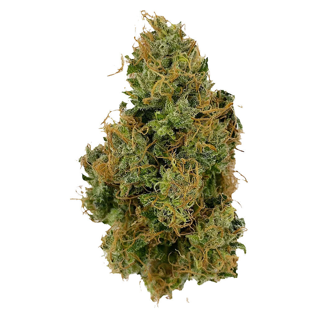 Afgahni-Bullrider - indica