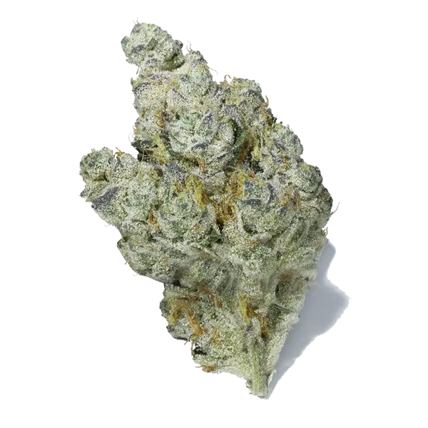 Afkansastan - indica