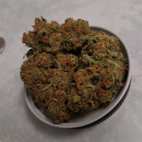 Willie-Nelson - sativa