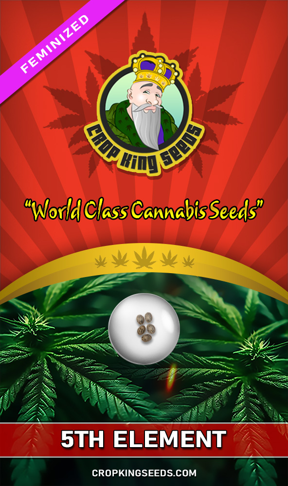 5Th-Element - indica