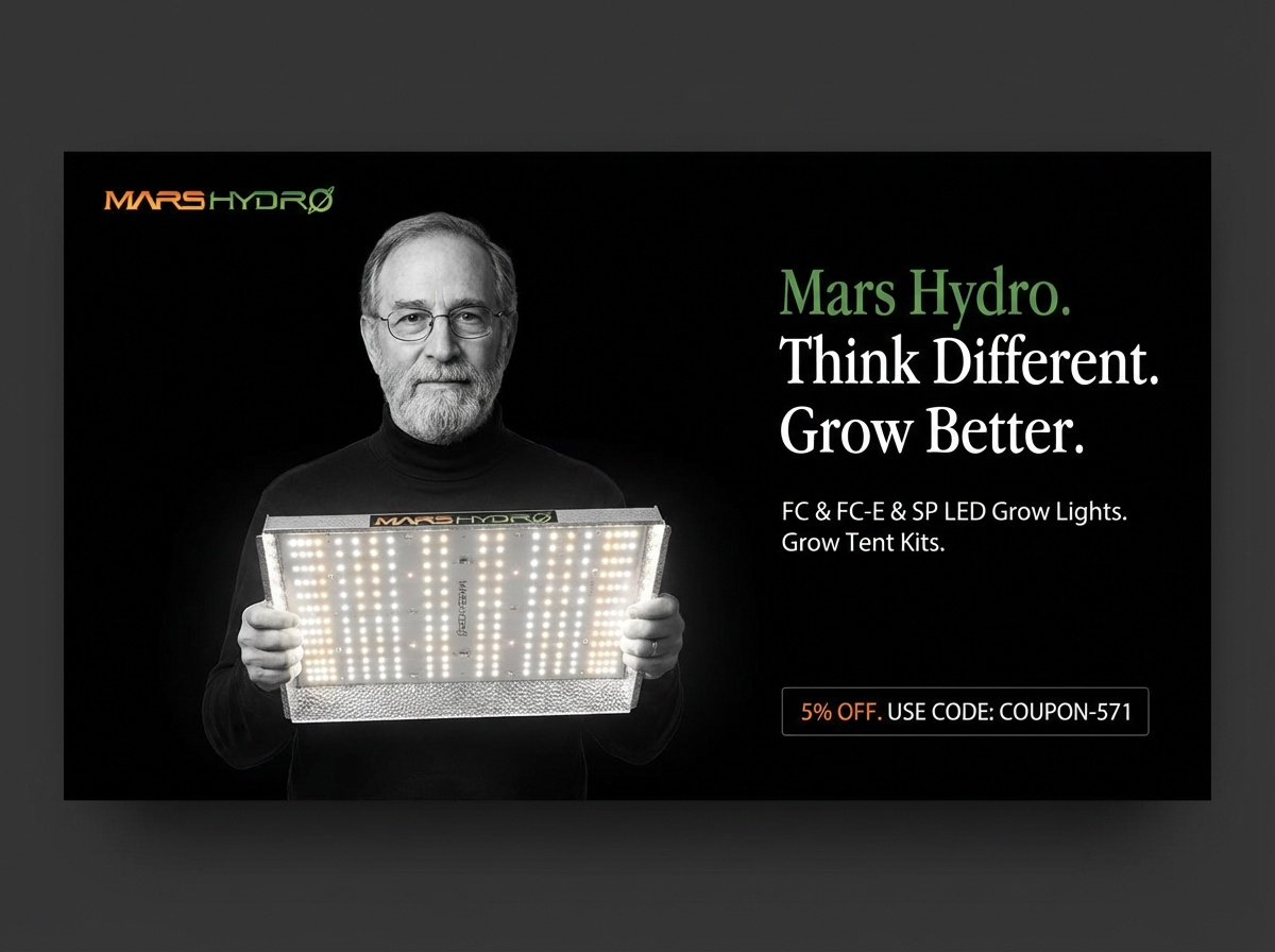 Daily Scrape Report For 02-06-2026